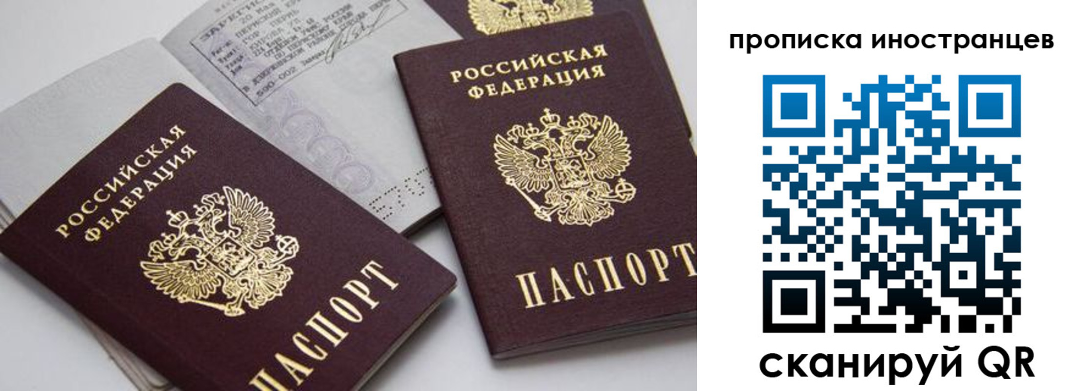 прописка поиск в Новодвинске